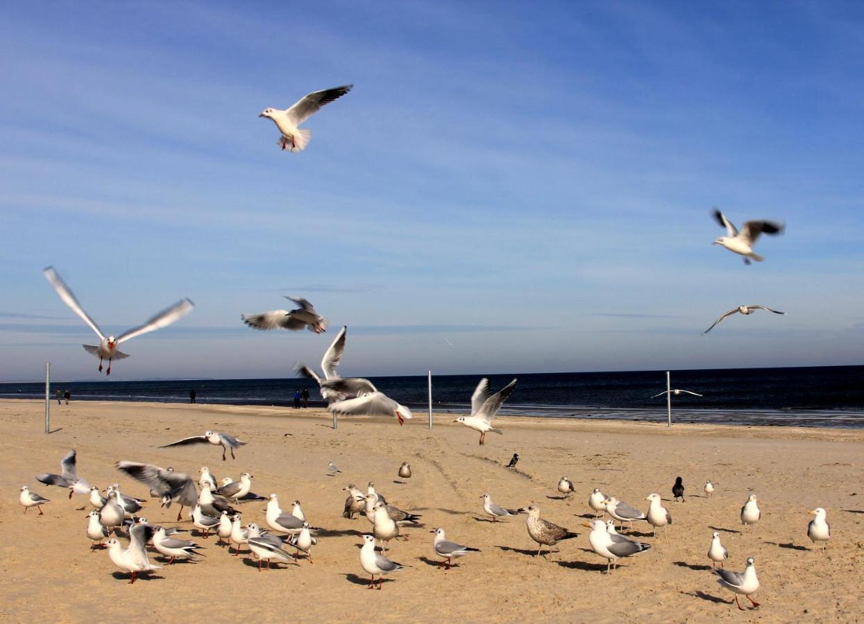 דירות Karlshagen Strandnest מראה חיצוני תמונה